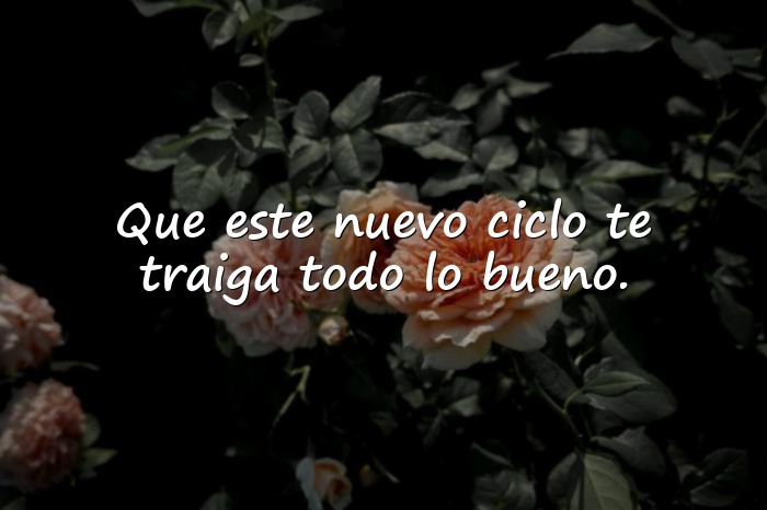 Imágenes feliz cumpleaños frases originales - 6