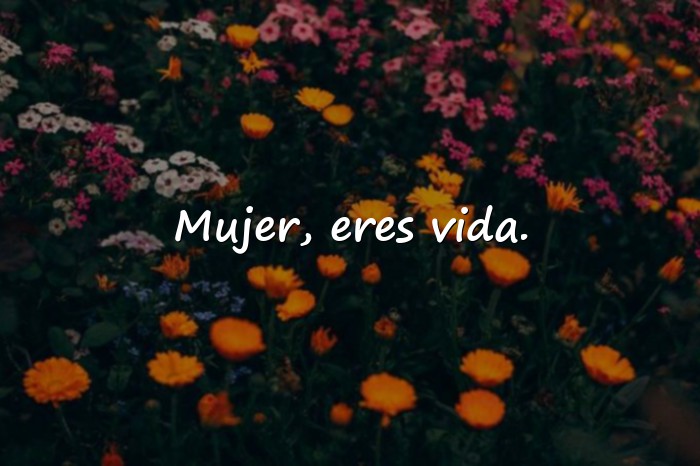 Imágenes feliz día de la mujer frases - 4