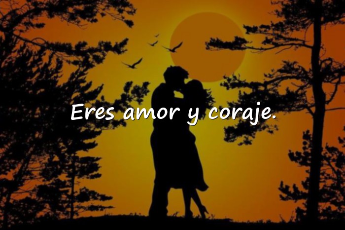 Imágenes feliz día de la mujer frases - 19