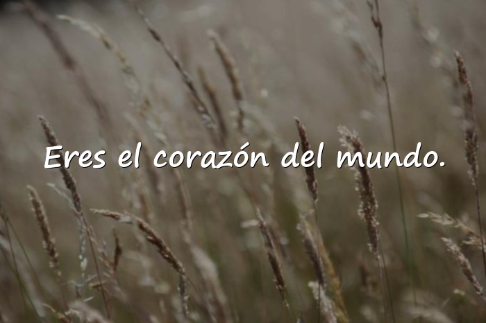 Imágenes feliz día de la mujer frases - 15