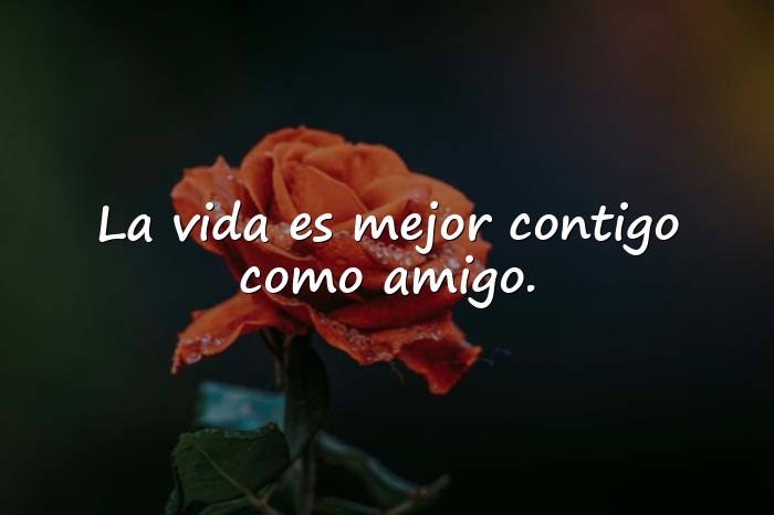 Imágenes feliz día del amigo - 4