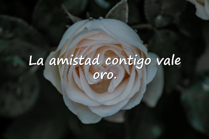 Imágenes feliz día del amigo - 25
