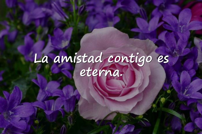 Imágenes feliz día del amigo - 24