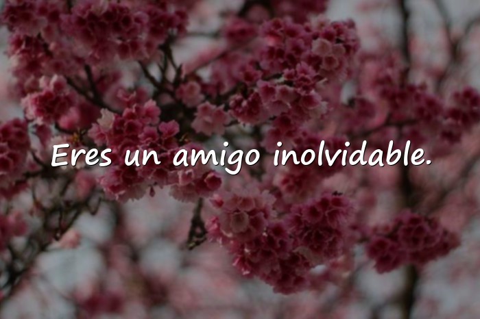 Imágenes feliz día del amigo - 20