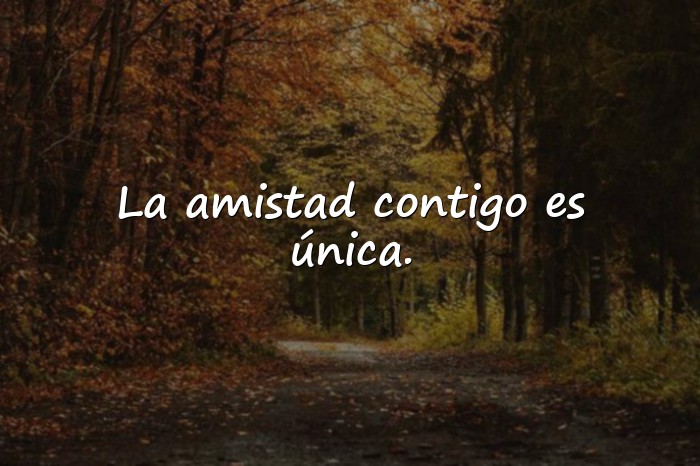 Imágenes feliz día del amigo - 5