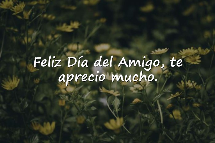 Imágenes feliz día del amigo - 1