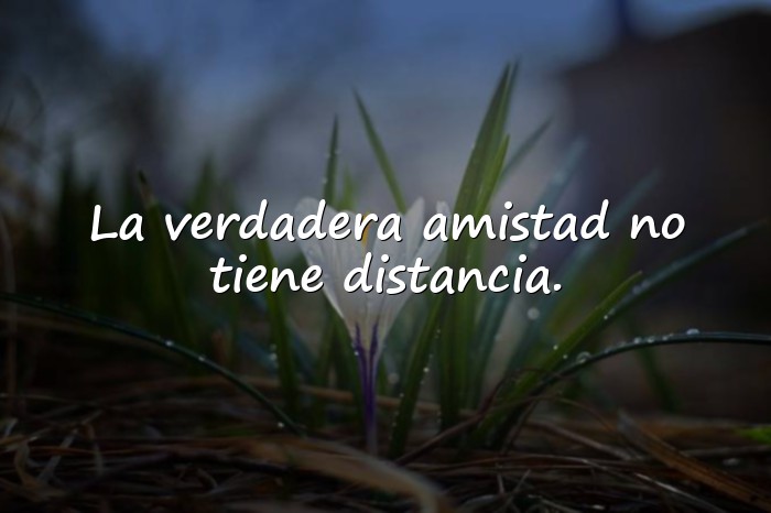 Imágenes feliz dia de la amistad - 24