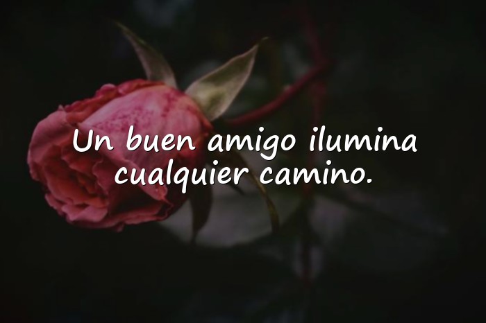 Imágenes feliz dia de la amistad - 16