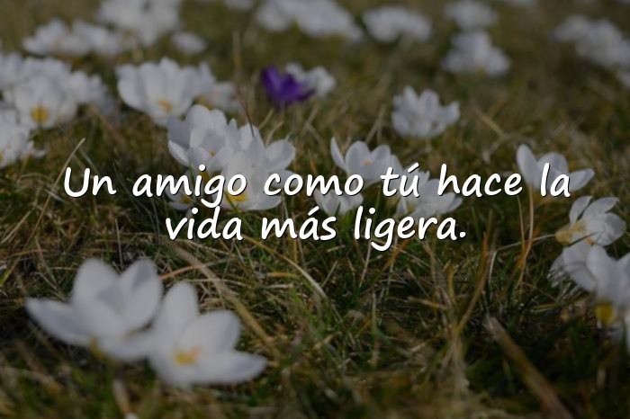 Imágenes feliz dia de la amistad - 7