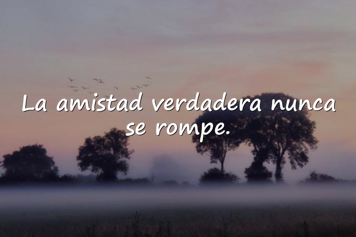 Imágenes feliz dia de la amistad - 2