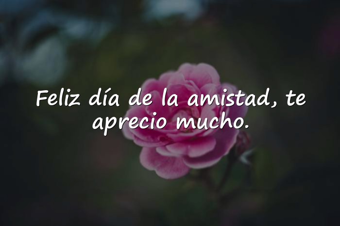 Imágenes feliz dia de la amistad - 18