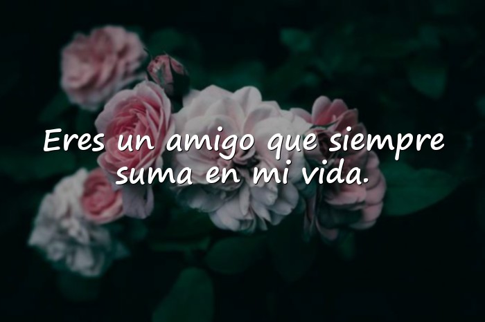 Imágenes feliz dia de la amistad - 14