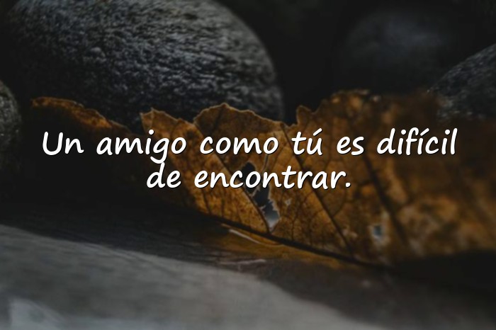 Imágenes feliz dia de la amistad - 10