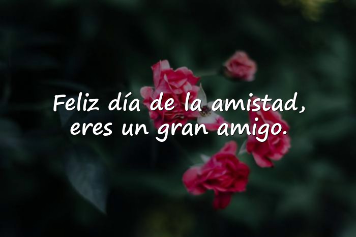Imágenes feliz dia de la amistad - 6