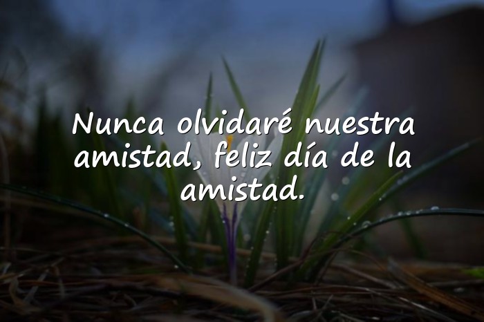 Imágenes feliz dia de la amistad - 1