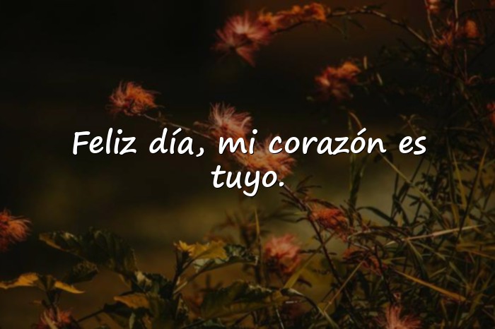 Imágenes feliz dia del amor y la amistad mi amor - 4