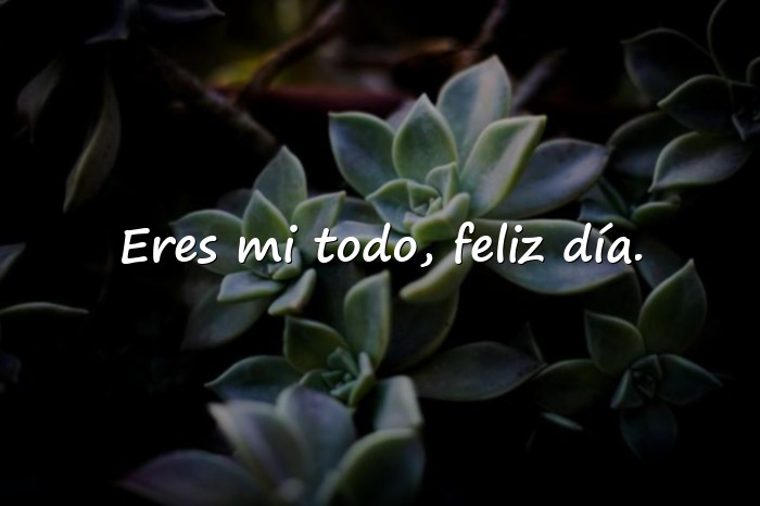 Imágenes feliz dia del amor y la amistad mi amor - 25