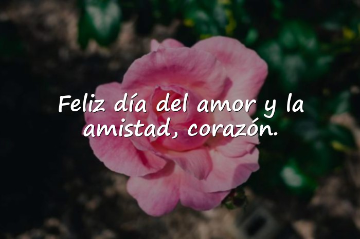 Imágenes feliz dia del amor y la amistad mi amor - 15