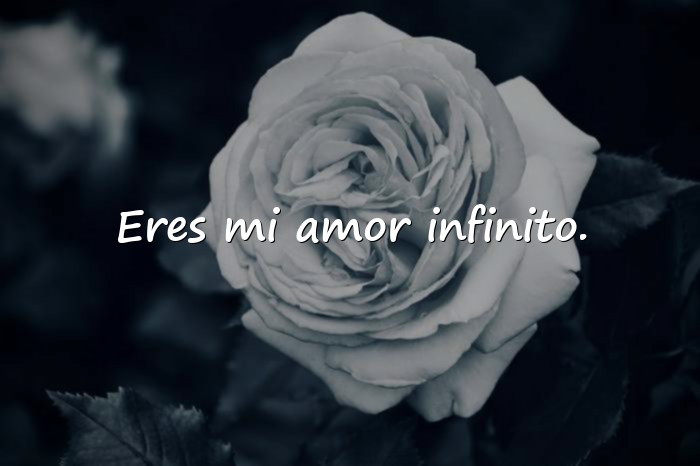 Imágenes feliz dia del amor y la amistad mi amor - 5