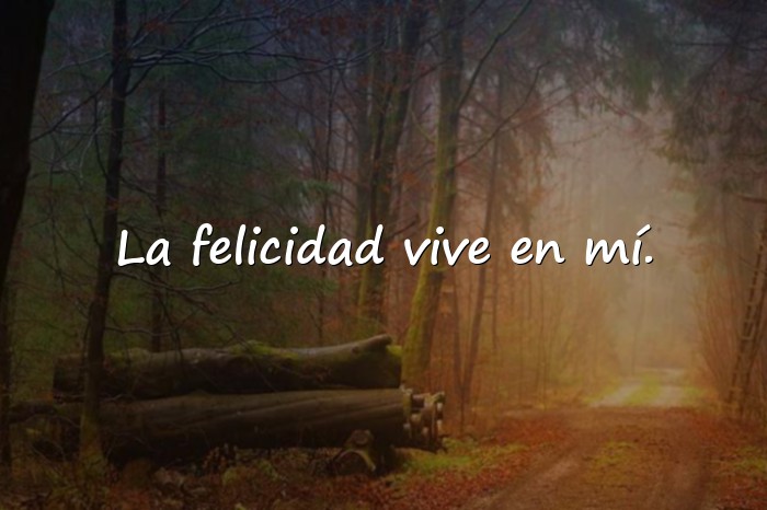 Imágenes feliz frases - 20