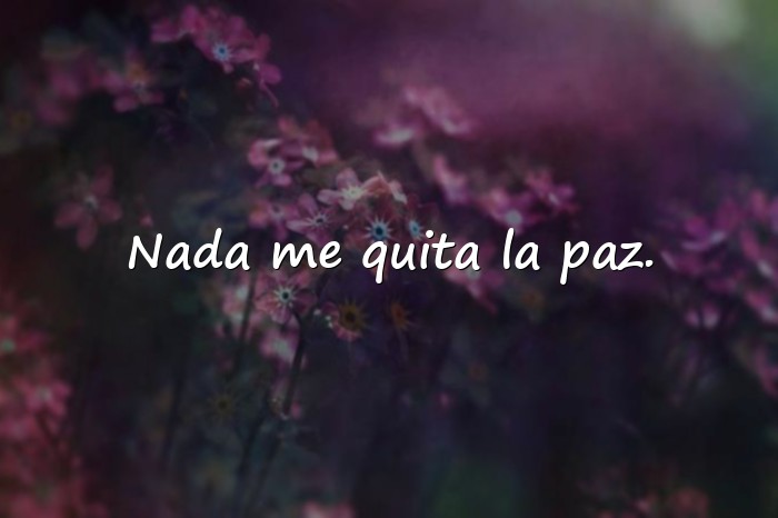 Imágenes feliz frases - 15