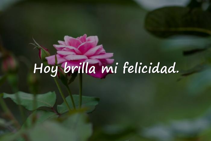 Imágenes feliz frases - 1