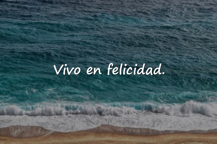 Imágenes feliz frases - 16