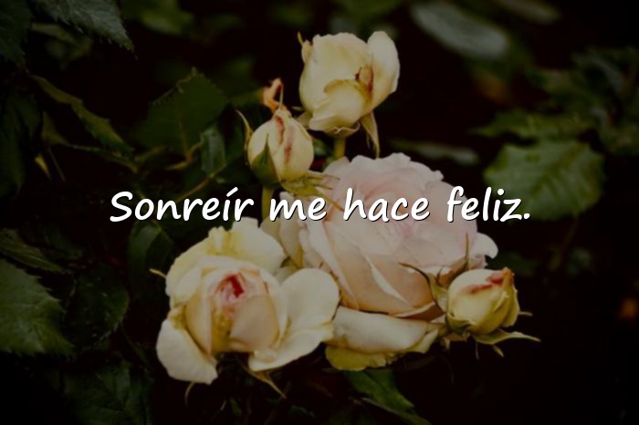 Imágenes feliz frases - 11