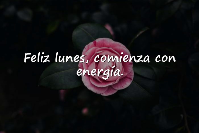 Imágenes feliz inicio de semana frases positivas - 10