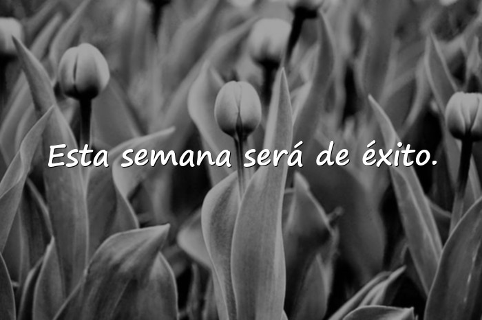 Imágenes feliz inicio de semana frases positivas - 6