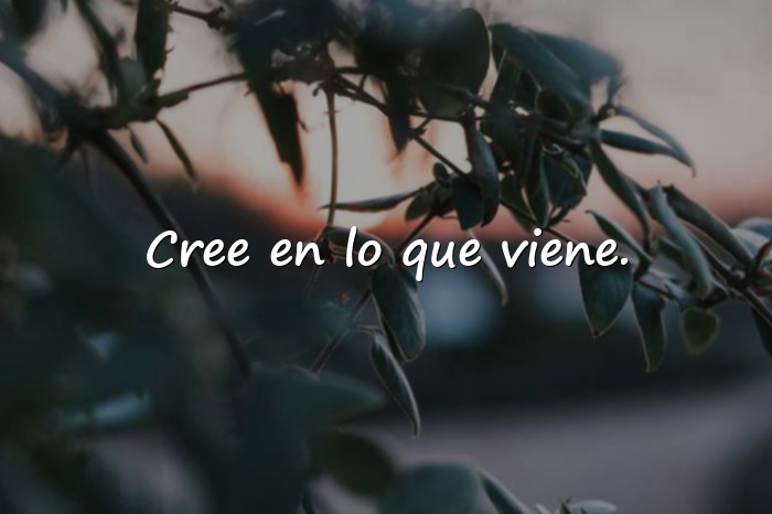 Imágenes feliz inicio de semana frases positivas - 1