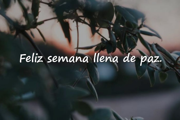 Imágenes feliz inicio de semana frases positivas - 22