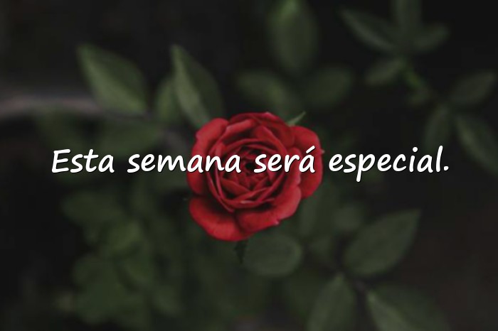 Imágenes feliz inicio de semana frases positivas - 20