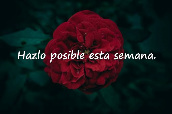 Imágenes feliz inicio de semana frases positivas - 6