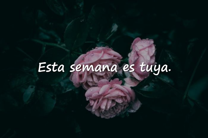 Imágenes feliz inicio de semana frases positivas - 1