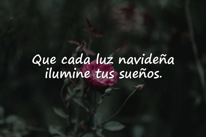 Imágenes feliz navidad frases - 14