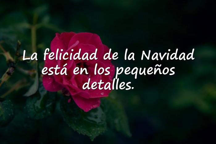 Imágenes feliz navidad frases - 9