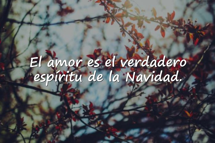 Imágenes feliz navidad frases - 25