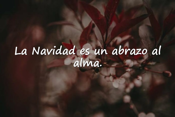 Imágenes feliz navidad frases - 15