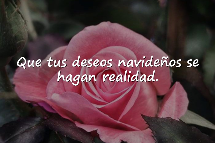 Imágenes feliz navidad frases - 12