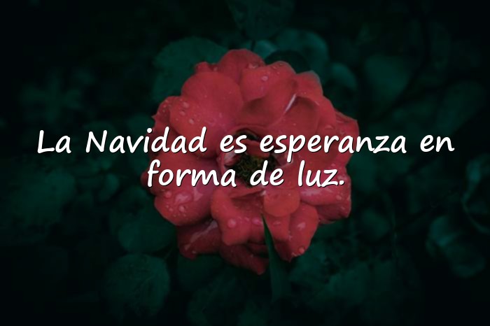 Imágenes feliz navidad frases - 9