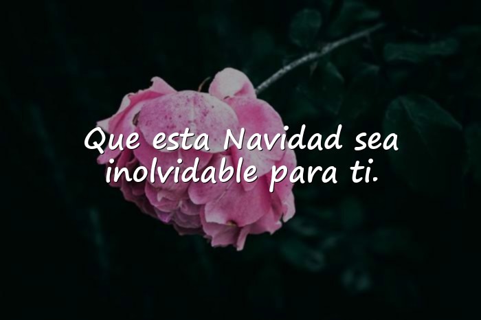 Imágenes feliz navidad frases - 4