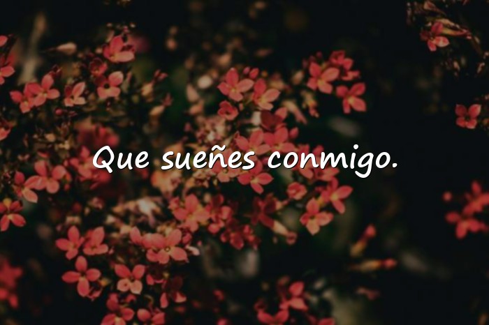Imágenes feliz noche amor - 8