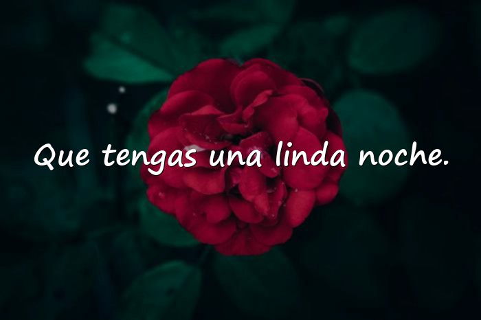 Imágenes feliz noche amor - 4