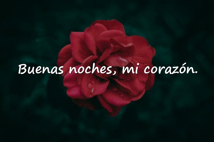 Imágenes feliz noche amor - 24