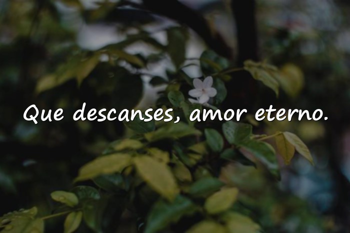 Imágenes feliz noche amor - 22