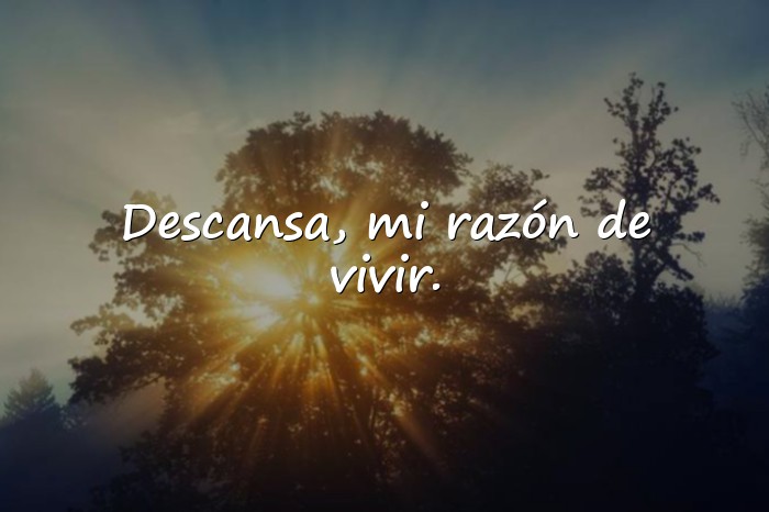 Imágenes feliz noche amor - 7