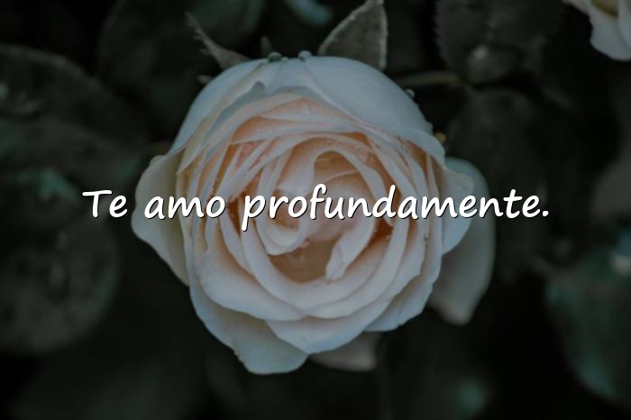 Imágenes feliz noche amor - 3
