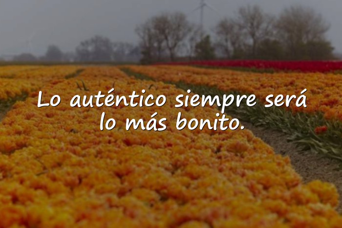Imágenes frase bonita - 6