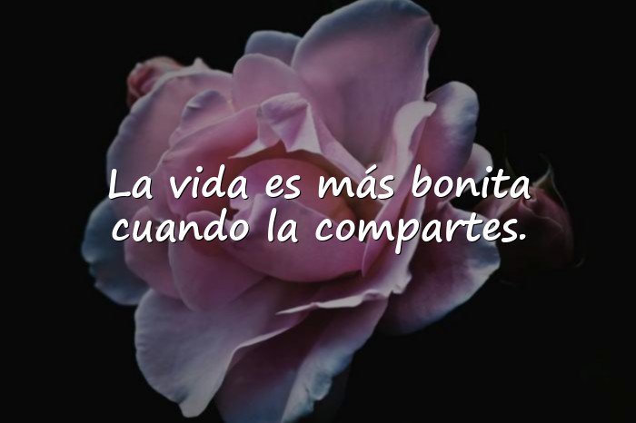 Imágenes frase bonita - 16